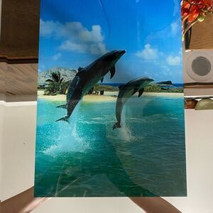 LED rainforest mirror with sound